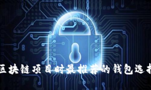 开发区块链项目时最推荐的钱包选择指南