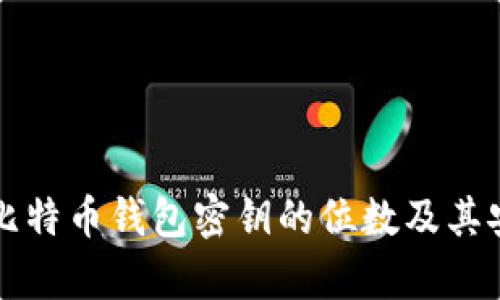 深入探讨比特币钱包密钥的位数及其安全性分析