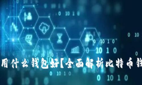 比特币交易用什么钱包好？全面解析比特币钱包选择指南