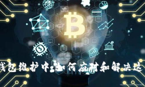 USDT钱包维护中：如何应对和解决这一问题