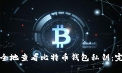如何安全地查看比特币钱