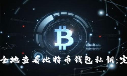 如何安全地查看比特币钱包私钥：完整指南