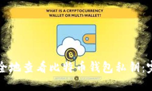 如何安全地查看比特币钱包私钥：完整指南