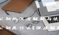 狗狗币钱包公钥的深度解