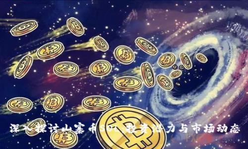 深入探讨山寨币SOL：投资潜力与市场动态