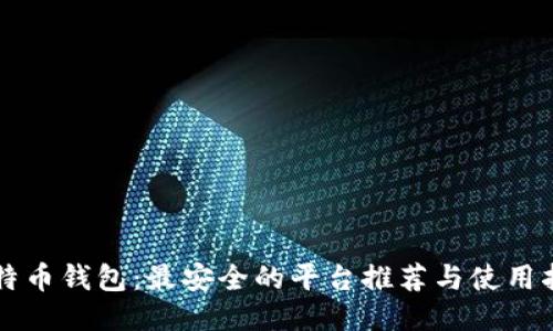 比特币钱包：最安全的平台推荐与使用指南