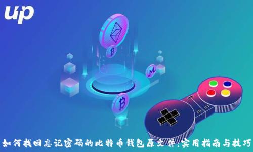  
如何找回忘记密码的比特币钱包原文件：实用指南与技巧