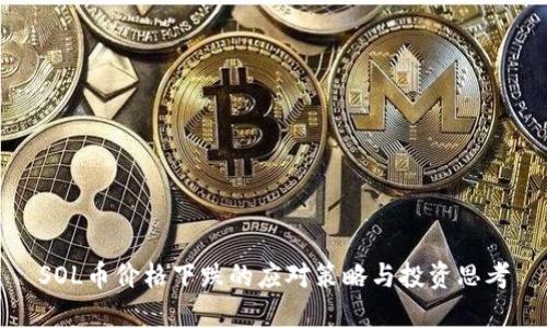 SOL币价格下跌的应对策略与投资思考