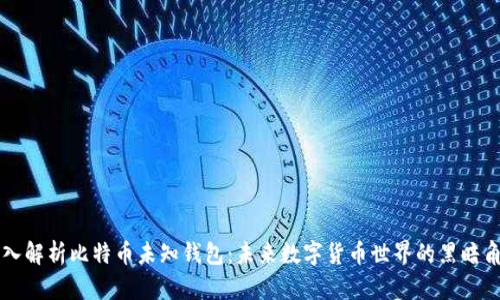 深入解析比特币未知钱包：未来数字货币世界的黑暗角落
