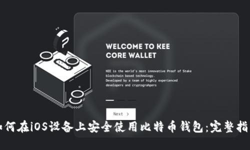 如何在iOS设备上安全使用比特币钱包：完整指南