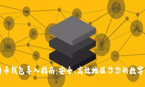 比特币钱包导入指南：安全、高效地操作你的数字资产