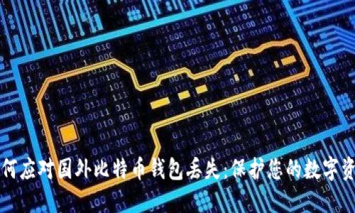 如何应对国外比特币钱包丢失：保护您的数字资产
