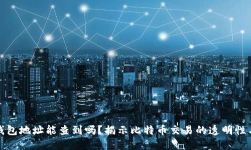 比特币钱包地址能查到吗？揭示比特币交易的透明性与隐私性
