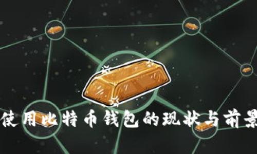 国内使用比特币钱包的现状与前景分析