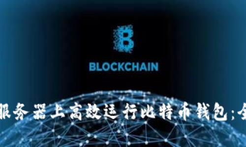 如何在服务器上高效运行比特币钱包：全面指南