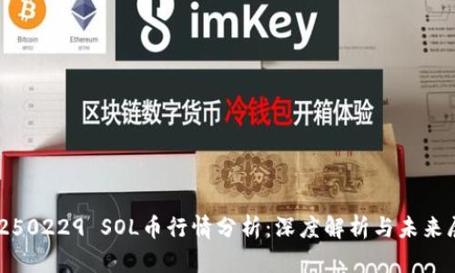 20250229 SOL币行情分析：深度解析与未来展望