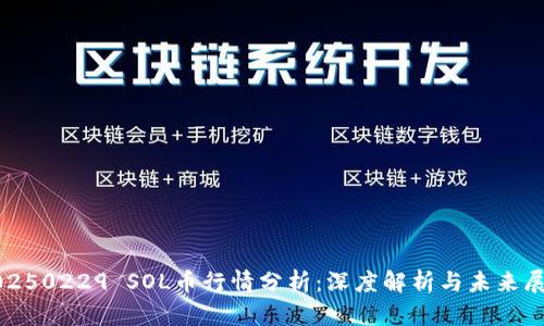 20250229 SOL币行情分析：深度解析与未来展望