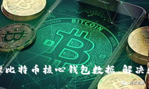 如何有效管理比特币核心钱包数据，解决数据过大问题