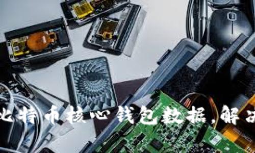 如何有效管理比特币核心钱包数据，解决数据过大问题
