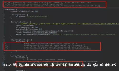 sbo钱包提取比特币的详细指南与实用技巧