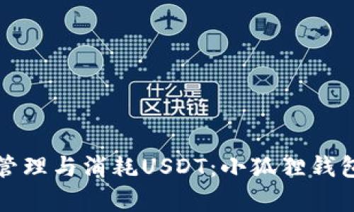 如何有效管理与消耗USDT：小狐狸钱包使用指南