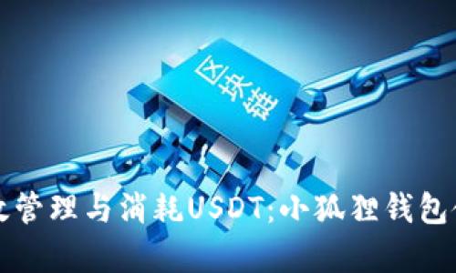 如何有效管理与消耗USDT：小狐狸钱包使用指南