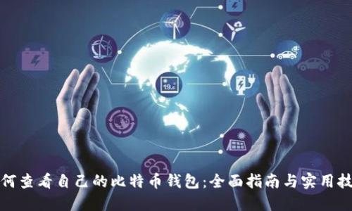 如何查看自己的比特币钱包：全面指南与实用技巧
