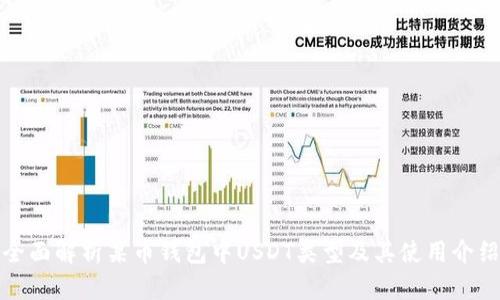 全面解析某币钱包中USDT类型及其使用介绍