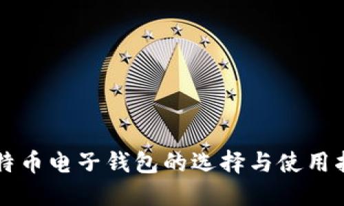 比特币电子钱包的选择与使用指南