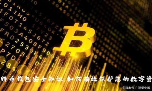 比特币钱包安全知识：如何有效保护您的数字资产