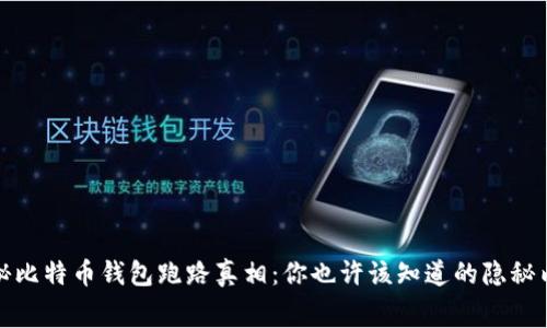 揭秘比特币钱包跑路真相：你也许该知道的隐秘内幕