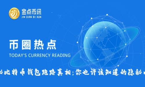 揭秘比特币钱包跑路真相：你也许该知道的隐秘内幕