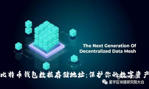 揭秘比特币钱包数据存储地址：保护你的数字资产安全