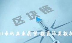 Sol币的未来展望：投资还