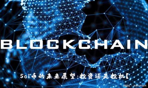 Sol币的未来展望：投资还是投机？