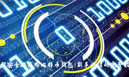 如何安全地使用比特币钱包：新手必读的完整指南