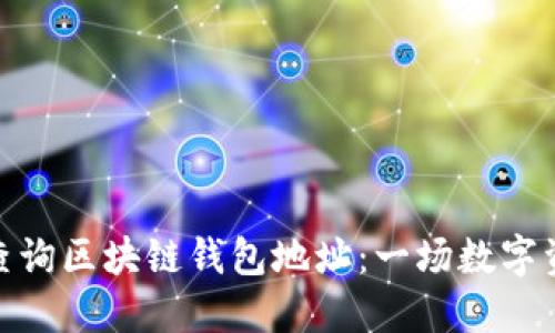 如何轻松查询区块链钱包地址：一场数字资产的探险