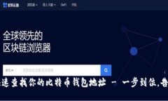 如何快速查找你的比特币