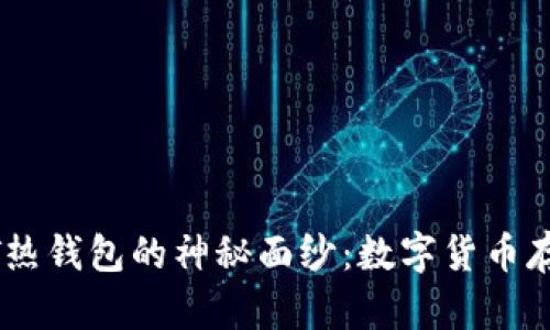 揭开USDT热钱包的神秘面纱：数字货币存储新方式