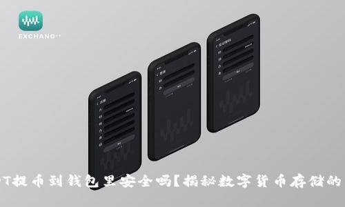 USDT提币到钱包里安全吗？揭秘数字货币存储的真相