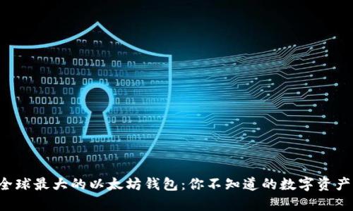 揭秘全球最大的以太坊钱包：你不知道的数字资产宝库！