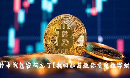 比特币钱包密码忘了？找回秘籍教你重塑数字财富！