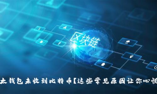 比太钱包未收到比特币？这些常见原因让你心慌慌