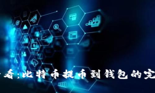 新手必看：比特币提币到钱包的完整指南