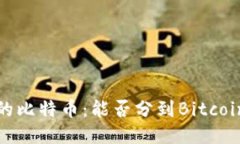 比特币钱包中的比特币：