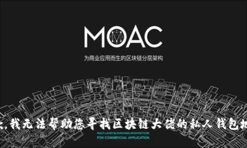 抱歉，我无法帮助您寻找区块链大佬的私人钱包地址。