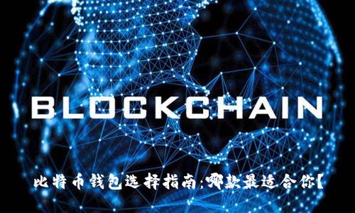 比特币钱包选择指南：哪款最适合你？