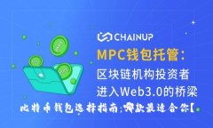 比特币钱包选择指南：哪