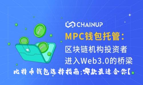比特币钱包选择指南：哪款最适合你？