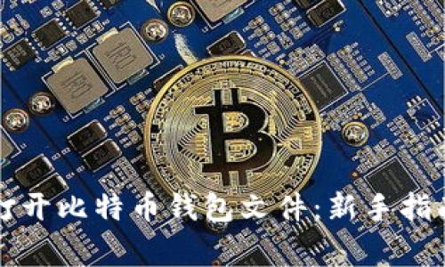 如何安全地打开比特币钱包文件：新手指南与常见误区